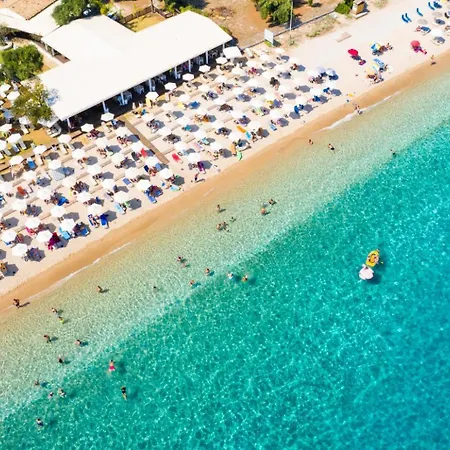 Evie * ニサキオン